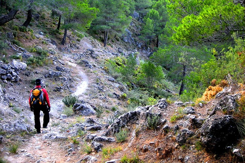 Trekking Sierra de las Nieves